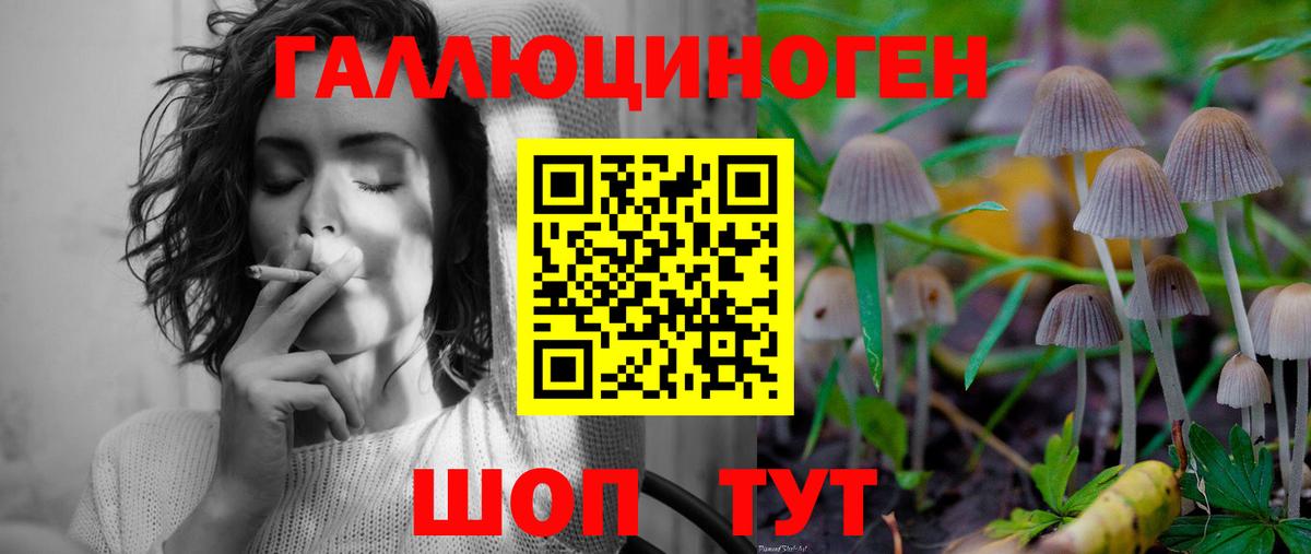 Южноуральск  Галлюциногенные грибы прущие грибы  наркота  Галлюциногенные грибы Psilocybine cubensis  Вход с VPN 